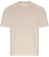 EA006 Ecologie Arrow Recycled Heavy Oversize T-Shirt Stone colour image